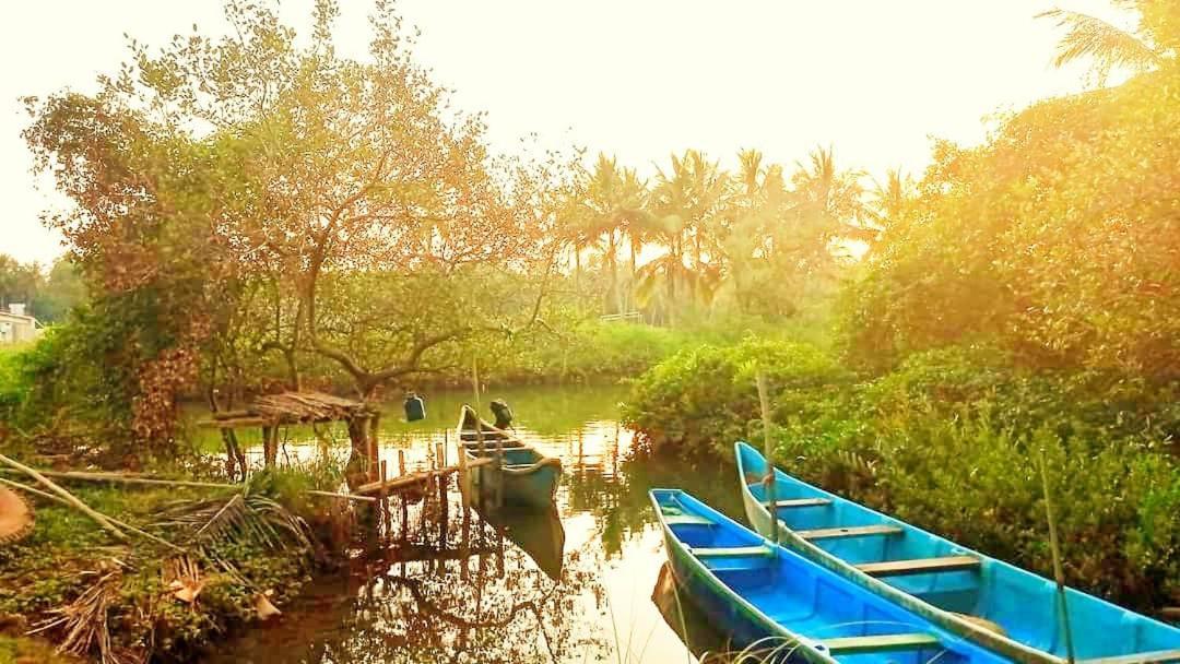 Shruthi'S Aarohi-Nature'S Retreat Mulappilangad Екстер'єр фото