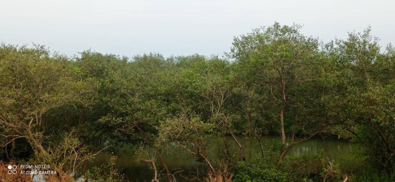 Shruthi'S Aarohi-Nature'S Retreat Mulappilangad Екстер'єр фото