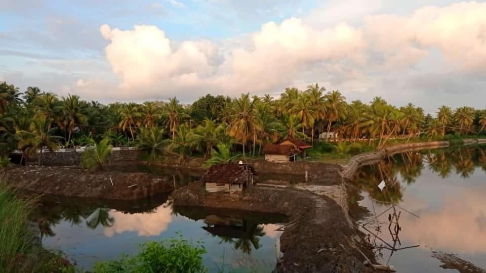 Shruthi'S Aarohi-Nature'S Retreat Mulappilangad Екстер'єр фото