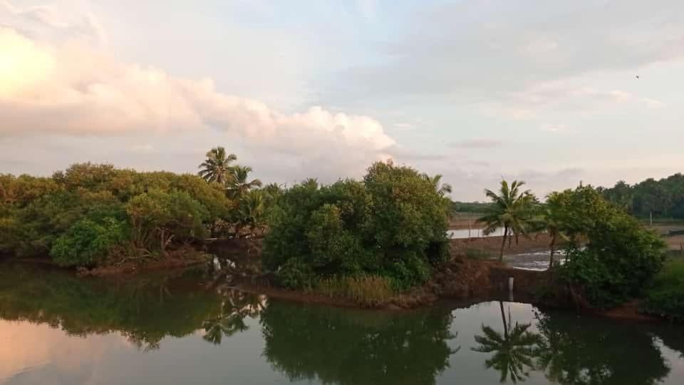 Shruthi'S Aarohi-Nature'S Retreat Mulappilangad Екстер'єр фото
